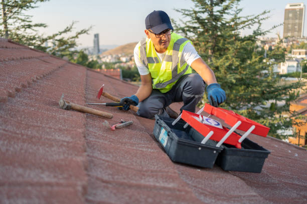 Siding Removal and Disposal in Winnsboro, LA